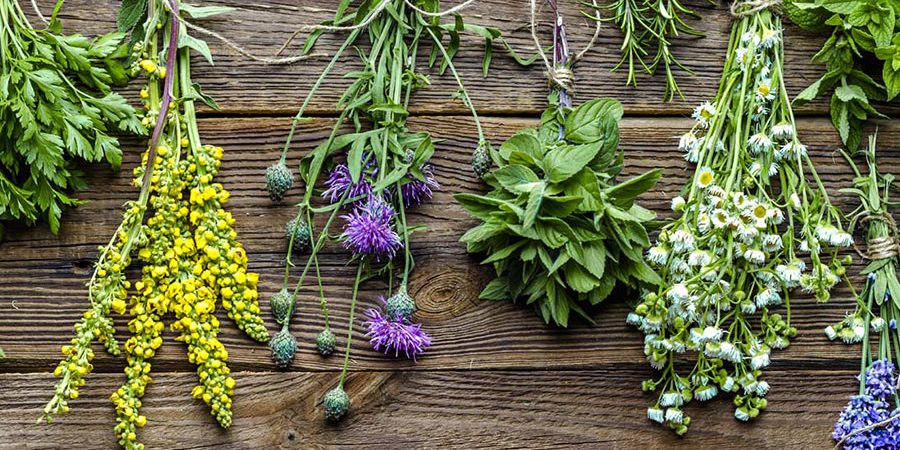 Cinco plantas que ayudan a combatir la depresión