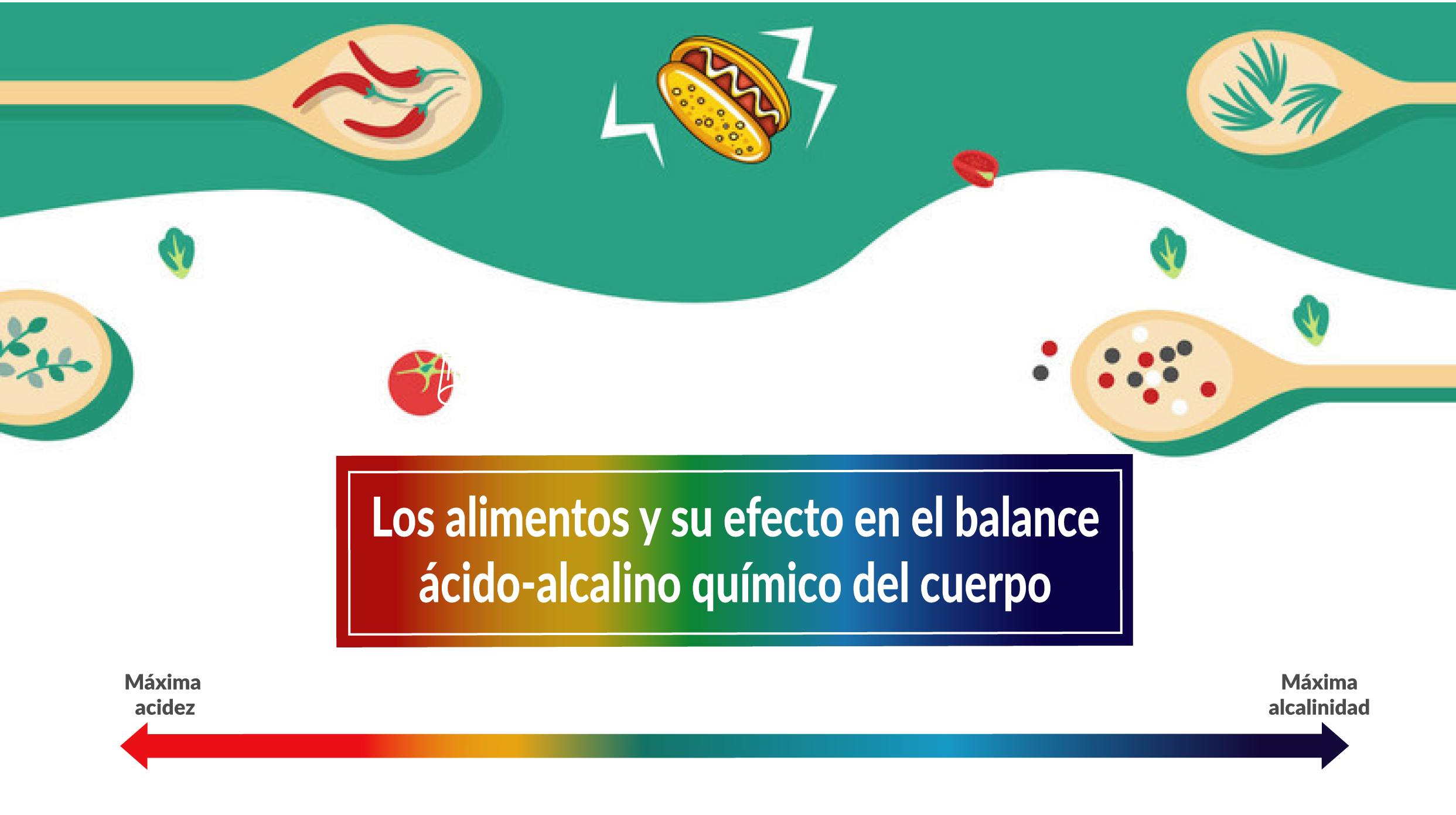 ¿Qué alimentos alteran la acidez o la alcalinidad (el pH) de nuestro cuerpo?