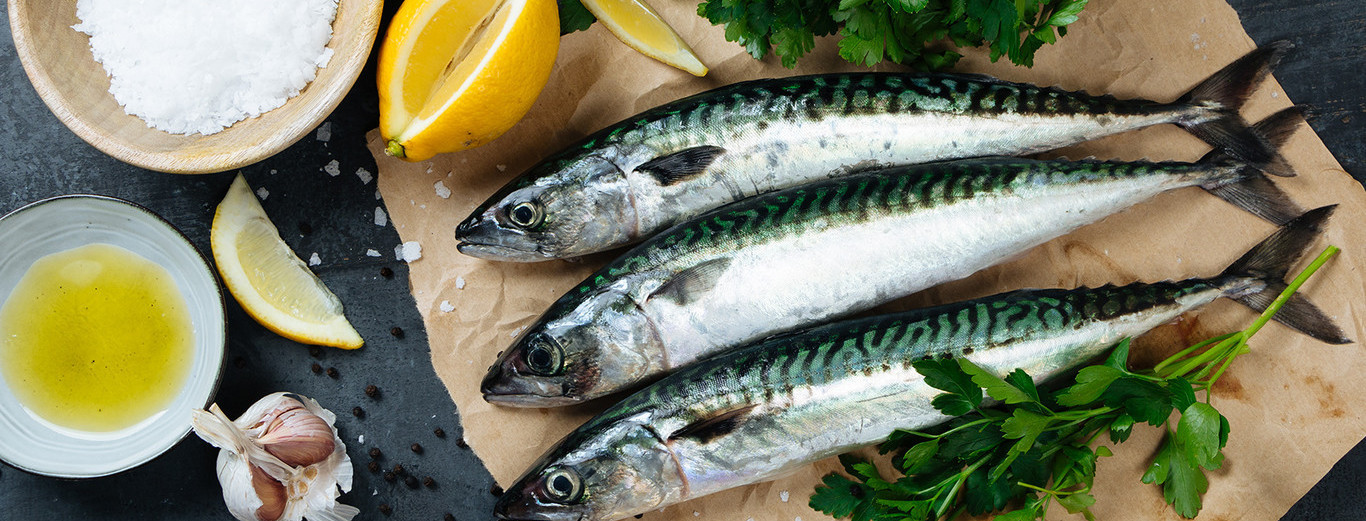Los pescados “SACAS”: una potente receta para aumentar el Omega 3