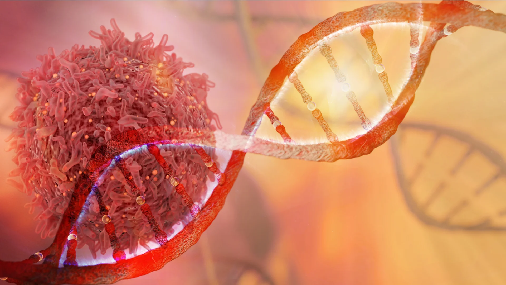 Guía para evitar el cáncer